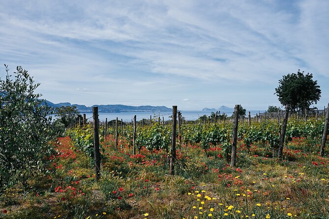 Private Tour Ercolano Ruines and Wine Tour Tasting - Frequently Asked Questions