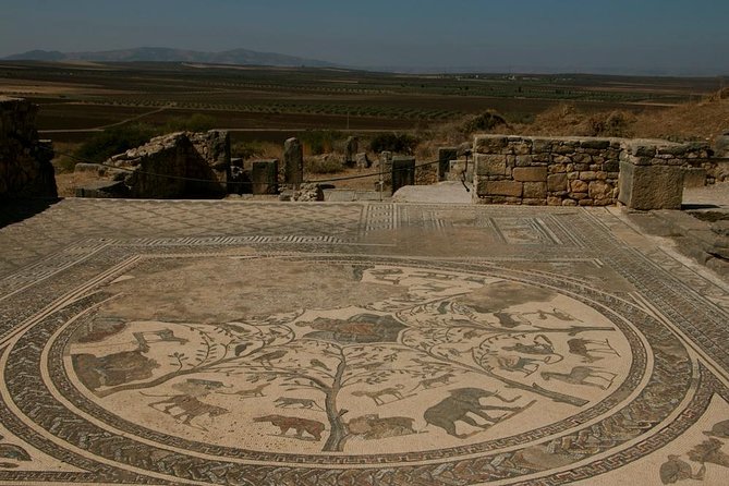 Private Tour From Fez: Meknès and Roman Ruins of Volubilis - Insider Tips