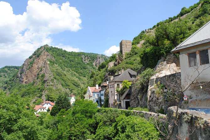 Private Tour From Salzburg to Vienna - UNESCO Sites, Lakes, Alps - Inclusions