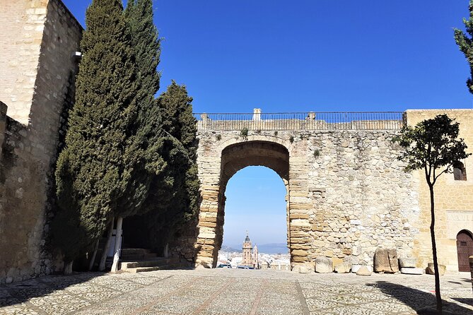 Private Tour in Antequera and Hiking in El Torcal From Costa Del Sol - Reviews
