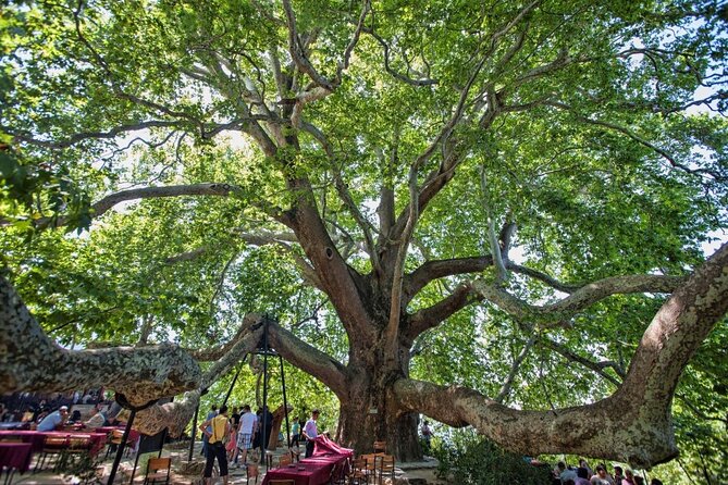 Private Tour in the Bursa the Heart of Ottoman Empire - Directions for Your Private Tour