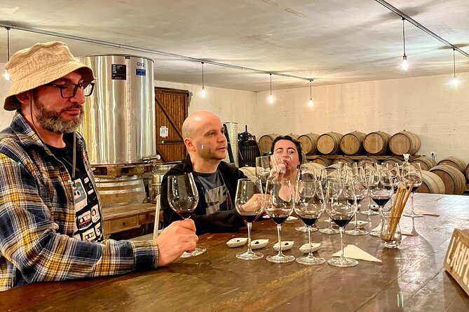Private Tour in the Médoc in a Classic Car - Customer Reviews