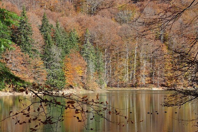 Private Tour- NP Biogradska Gora, Moraca Canyon & Monastery - Cancellation Policy