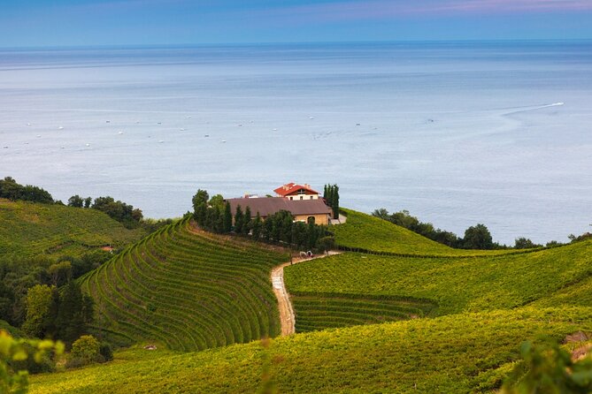 Private Tour of San Sebastian and Getaria With Txakoli Tasting - The Sum Up