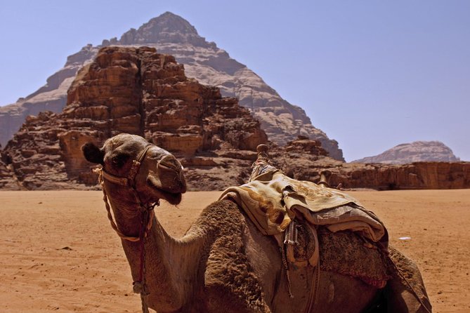 Private Tour of Wadi Rum Star Wars From Aqaba - Frequently Asked Questions