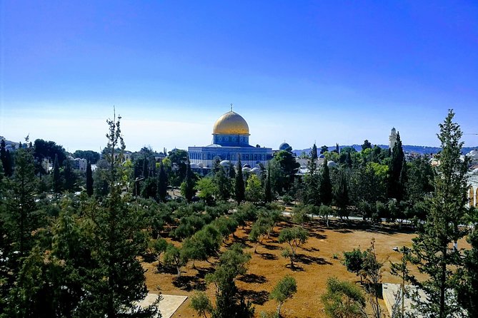 Private Tour: Old City of Jerusalem Christianity Tour - Reviews
