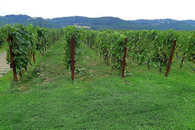 PRIVATE TOUR: Sweet Hills of Chianti & Siena + Lunch & 2 Tastings - Additional Information