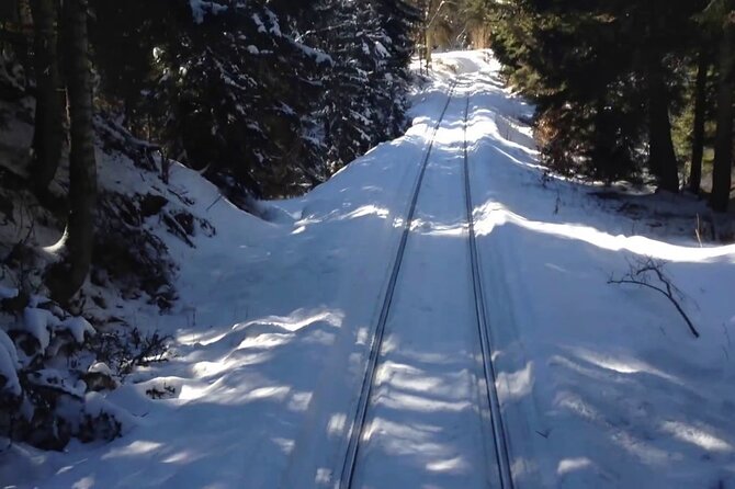 Private Tour to Bakuriani Ski Resort and the Legendary Borjomi - Booking Information