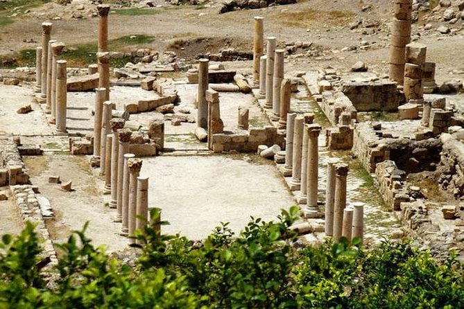 Private Tour to Jerash, Ajloun, and Pella From Amman - Pricing and Booking