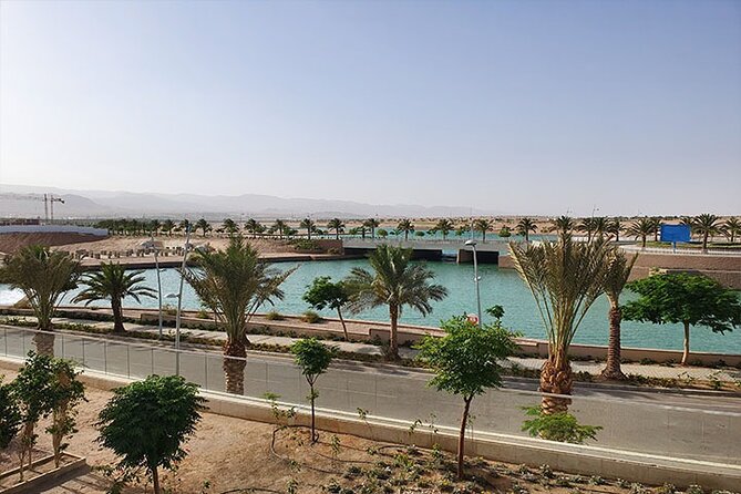 Private Transfer: Aqaba Hotels to Aqaba Airport - Reviews