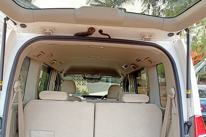 Private Transfer From Diani Beach Hotels to Moi Airport - Price and Reservation