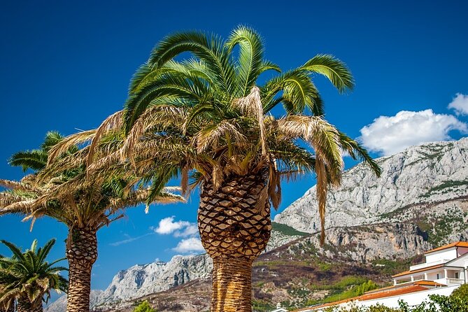 Private Transfer From Makarska to Dubrovnik With 2h Sightseeing, Local Driver - The Sum Up