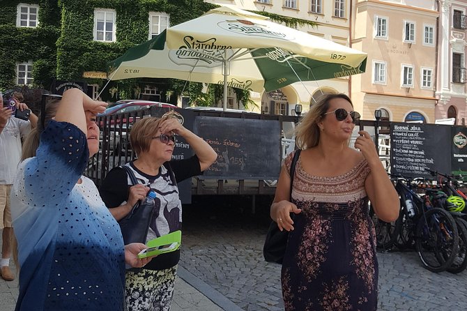 Private Transfer From Prague to Vienna With 2X Stops in Mikulov & Kutna Hora - Pickup Details