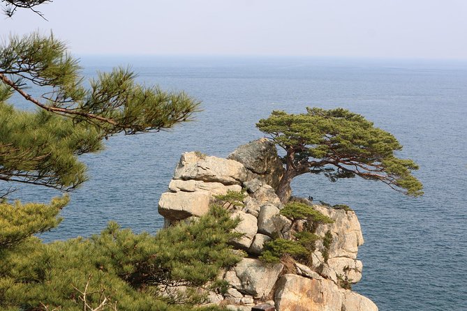 Private Transfer From Vienna to Split, Hotel-To-Hotel, English-Speaking Driver - Hotel-to-Hotel Convenience