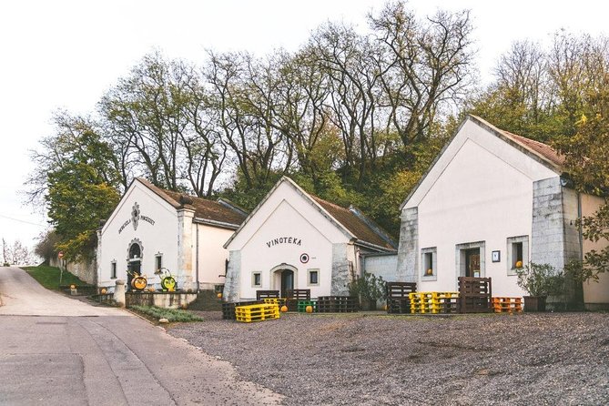 Private Trip to Home of Tokaj Aszu, With Winetasting and Private Guide! - Cancellation Policy