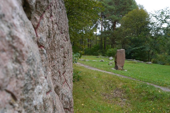 Private Viking Tour by a Lake + Swedish Nature Forest Walk, 90min - Accessibility and Requirements
