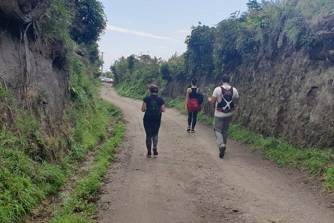 Private Walking Tour to Lagoa Do Fogo - The Sum Up