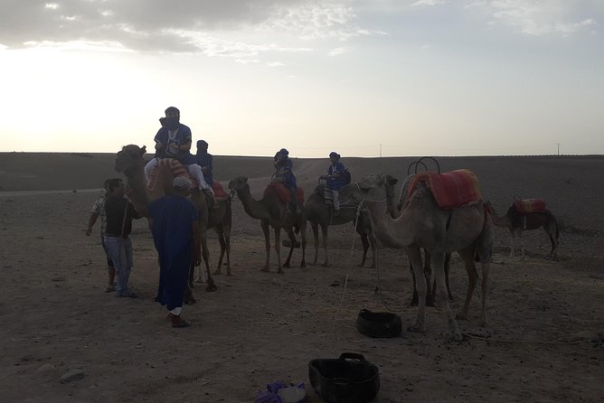 Quad Bikes & Camel in Agafay Desert With Lunch - Meeting Point