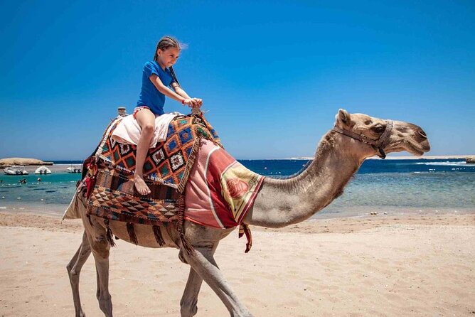 Quad Tour Along the Sea and Mountains in Hurghada - Tour Overview