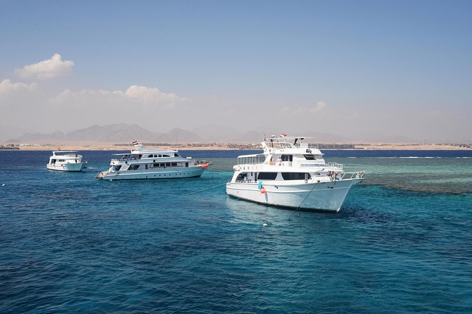 Ras Mohammed & White Island Boat Trip Incl Lunch and Entrance Fee - Cancellation Policy