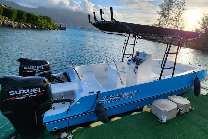 Reef Safari - Snorkeling, Fish Feeding & Lunch (Private Day Trip) - Reviews and Booking Details