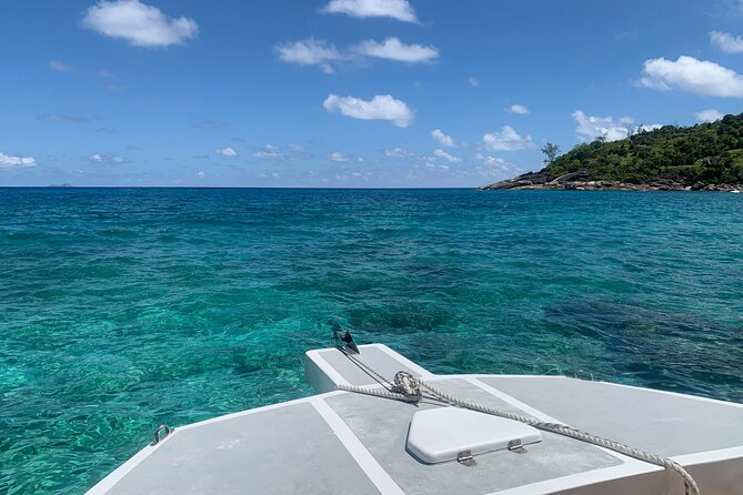 Reef Safari - Snorkeling, Fish Feeding & Lunch (Shared Day Trip) - Guest Reviews