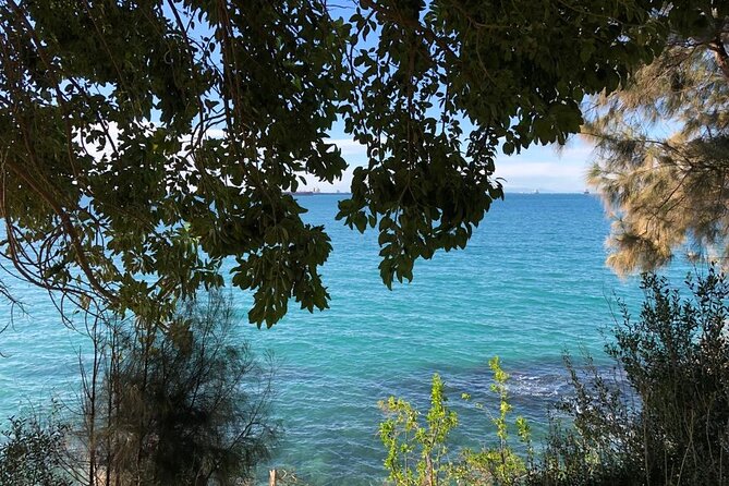 Relax on One of the Most Beautiful Beaches in Taranto - Operator and Pricing Details