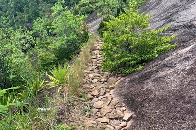 Relaxed Hike to Anse Major | Mahé | Seychelles | Private Tour | Perfect - Tour Experience