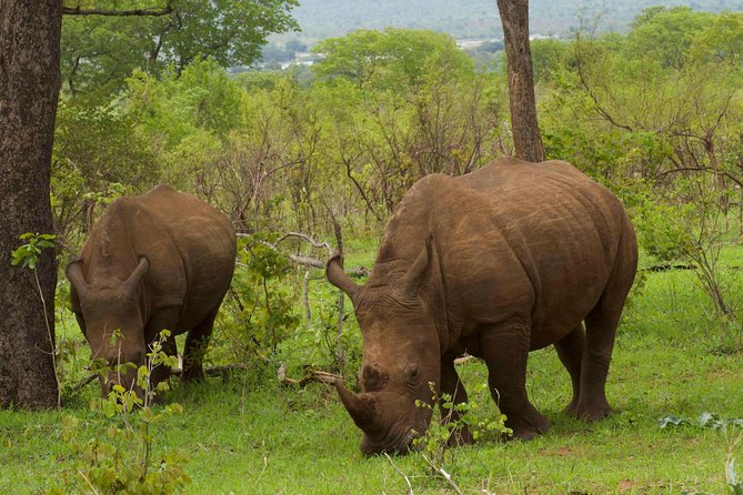 Rhino Game Drive - Inclusions