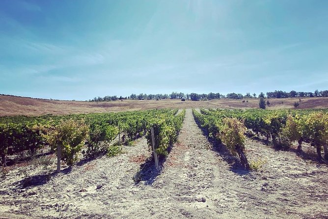 Ribera Del Duero From Madrid Full Day - Cancellation Policy