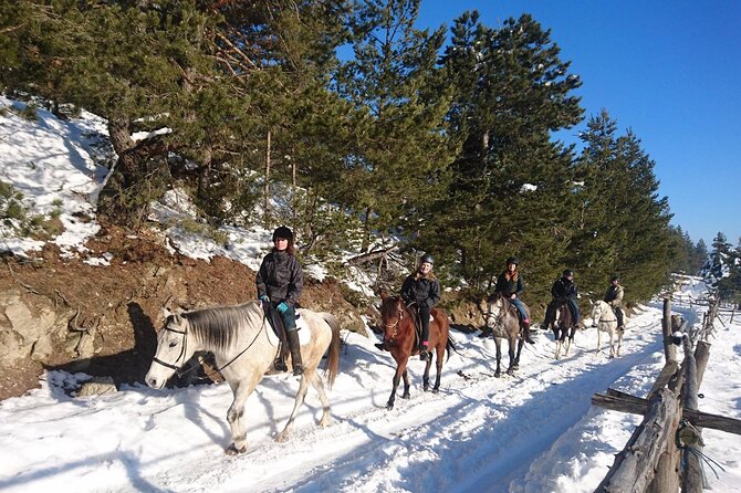 Rila National Park Horse Riding Adventure - Expectations and Guidelines