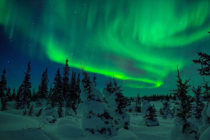 Rovaniemi: Private Aurora Hunting Tour - Additional Info and Cancellation Policy Details