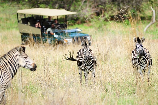 Safari Game Drive in Zambezi National Park With Hotel Pickup - Pricing and Booking
