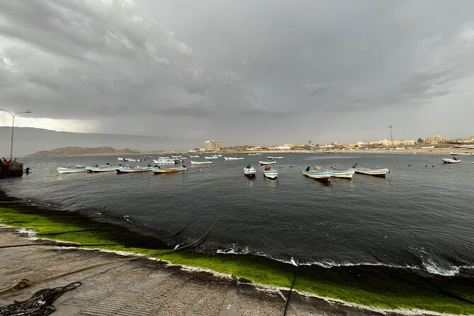 Salalah: Excursion to East Salalah and Mirbat - Tips for a Memorable Trip