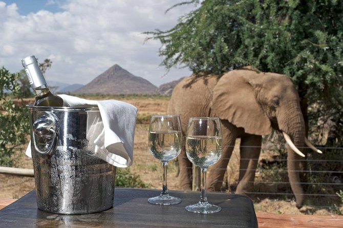 Samburu/ Aberdare/ Lake Nakuru/ Masai Mara 7 Days Safari - Transportation and Vehicle Details