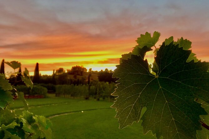 San Gimignano Wine Tour and Tuscan Lunch for Small Group - Customer Reviews