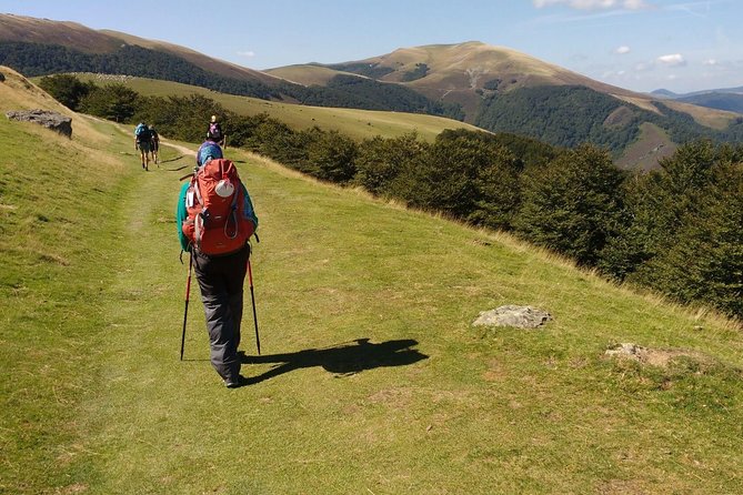 Santiago De Compostela Private Tour From Porto - Terms and Conditions