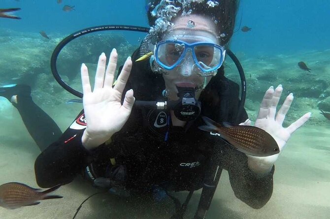 Scuba Diving for Beginners With a PADI Instructor Near Heraklion - Equipment and Safety