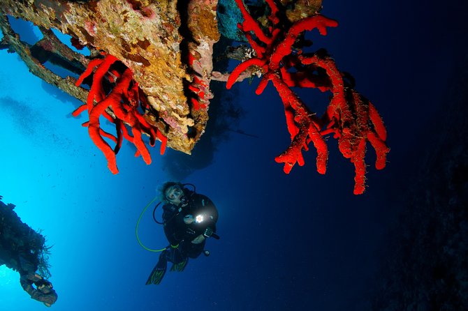 Scuba Diving for Certified Divers - Cancellation Policy Details