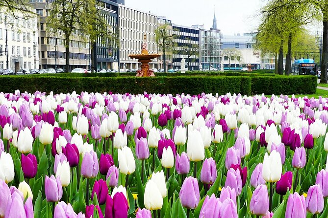 Self Guided Private 2 Hour Route in Arnhem City - Photo Tour Highlights