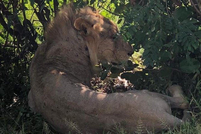 SERENGETI - 4 Days - Booking Process
