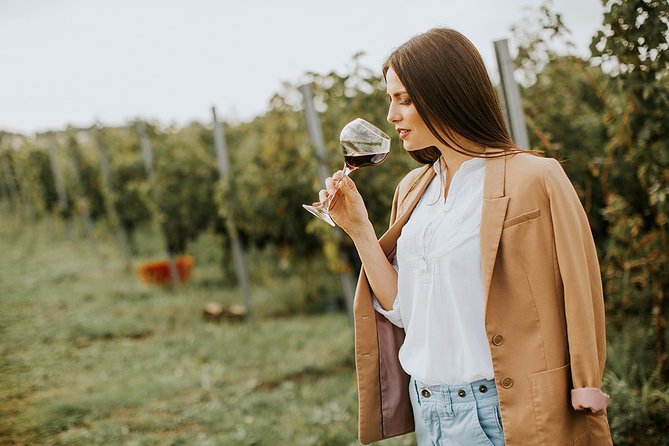 Sesimbra & Arrábida Private Tour Full Day - The Sum Up