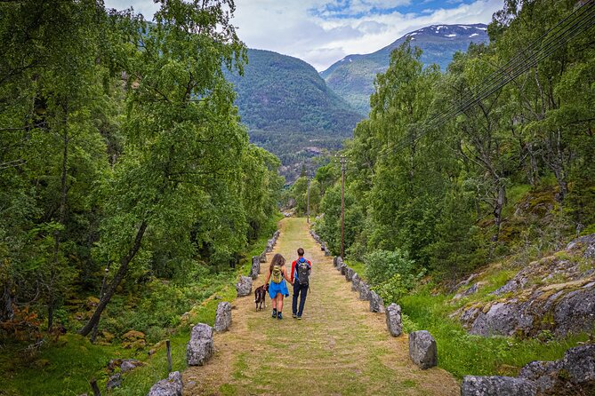 Shared Guided Tour in Borgund Stave Church and Vindhella - Cancellation Policy Details