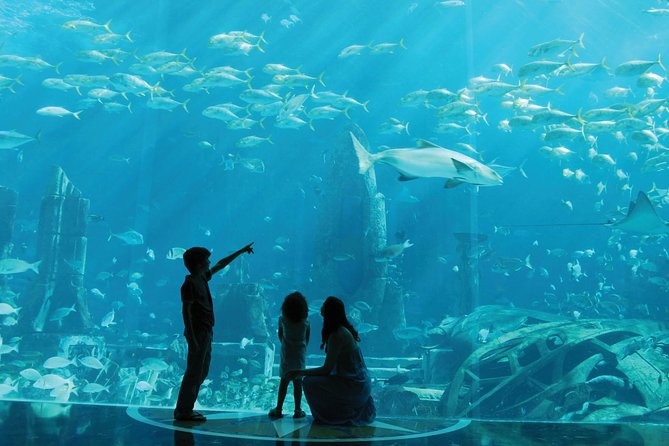 Shared Transfers From Dubai Hotels to Aquaventure/Lost Chamber - Vehicle and Transfer Amenities