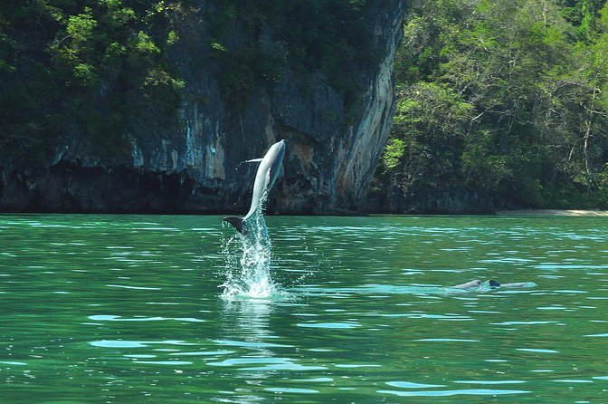 Sharing Basis Half-Day Mangrove Safari Boat Tour in Langkawi - Reviews and Ratings
