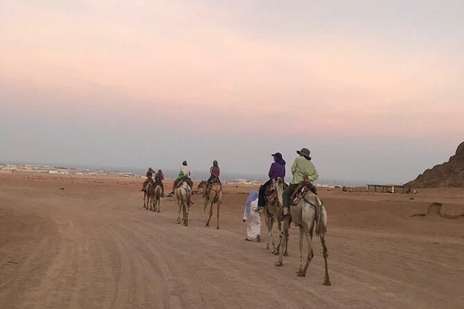 Sharm Bedouin Dinner,Camel Ride & Star Gazing - Additional Information