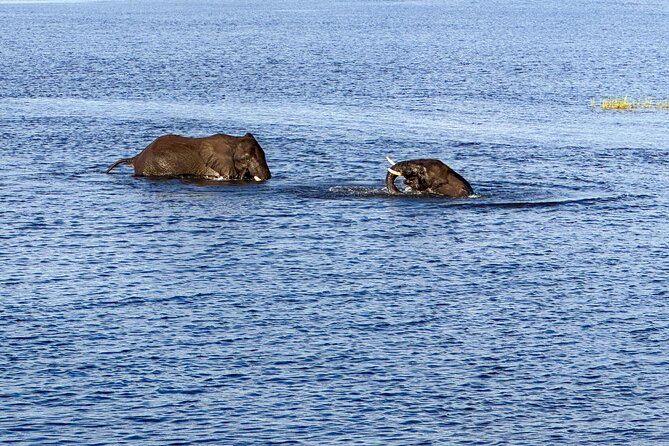 Shearwater River Song Luxury River Cruise - Reviews