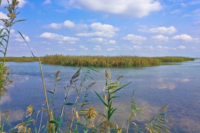 Shirvan National Park Tour - Tour Schedule