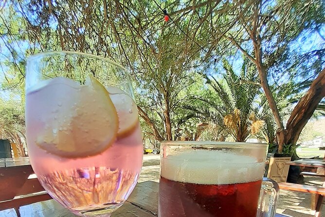 Shore Excursion - Flamingos ,Dune7,Welwitschia, Moonlandscape,Oasis,Swakopmund. - The Sum Up