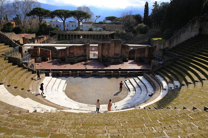 Skip the Line Best of Pompeii Tour & Positano With Luch at the Winefarm - Booking Process